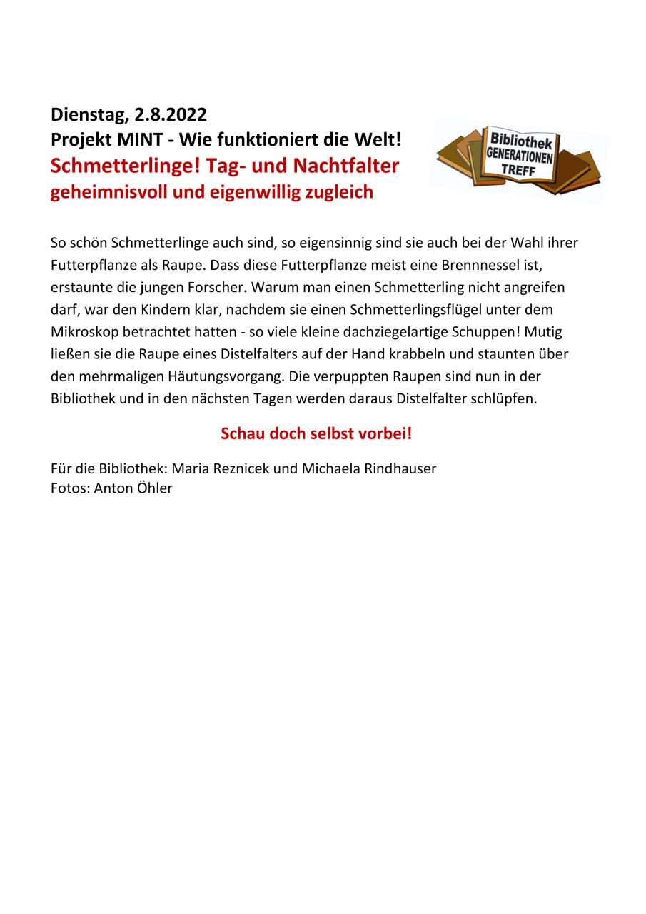 Schmetterlinge Einladung