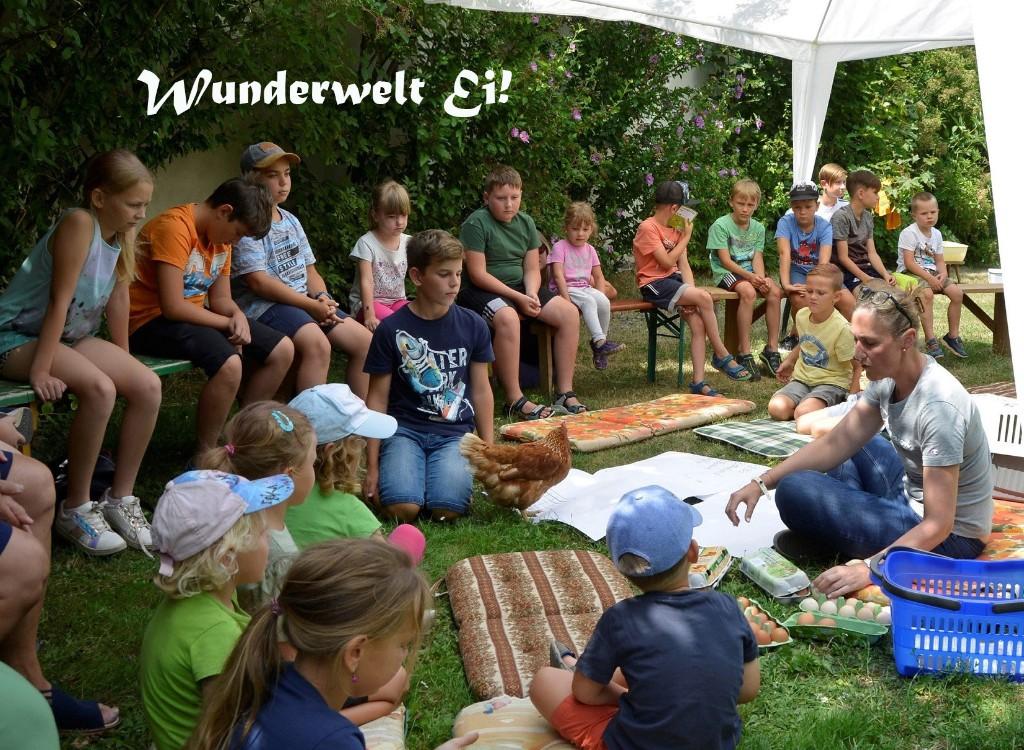 Wunderwelt Ei Kinder und Erwachsener
